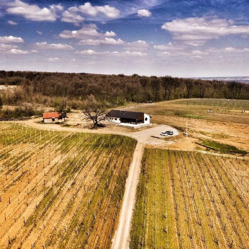 Vinarija Frunza Aglaja