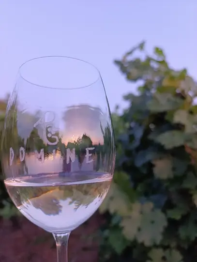 Vinarija porodice Kurilić – Gaston Wine