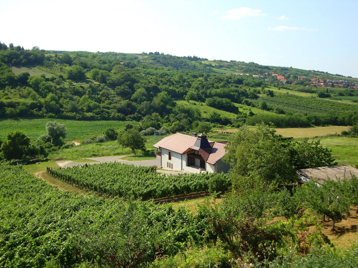 Veritas Vinarija