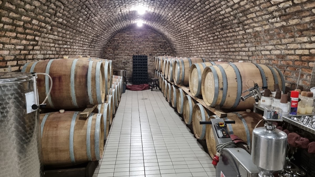 Vinarija Milijan Jelić